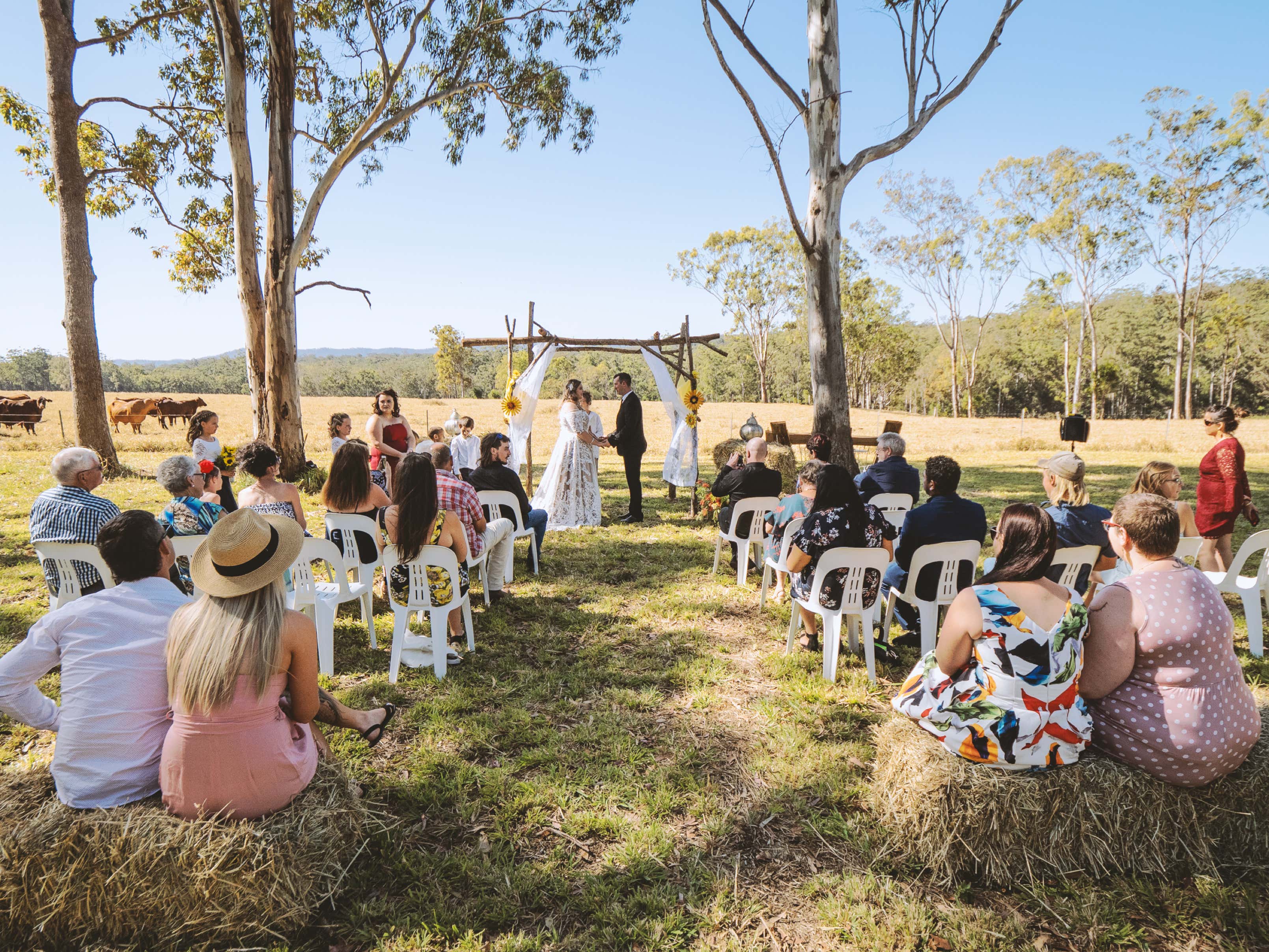 Mareeba Weddings